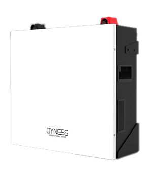 Dyness Lithium Ion Batteries